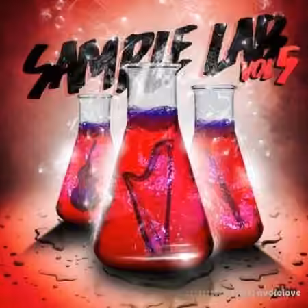 2DEEP Sample Lab Volume 5 [WAV]