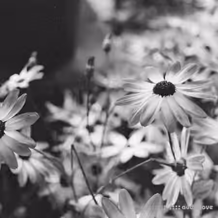43% Giant Melodic Techno [WAV] - Sample Pack Artwork