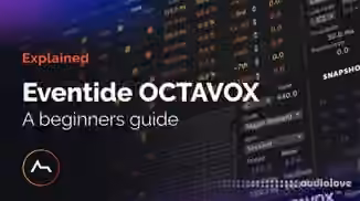 ADSR Sounds Eventide Octavox Beginners Guide [TUTORiAL]