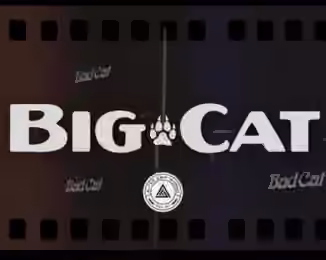 Alter Amp Works Big Cat Tonex Capture pack