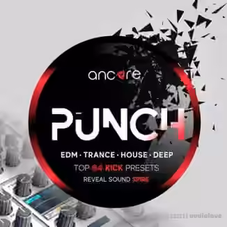 Ancore Sounds PUNCH [Synth Presets]