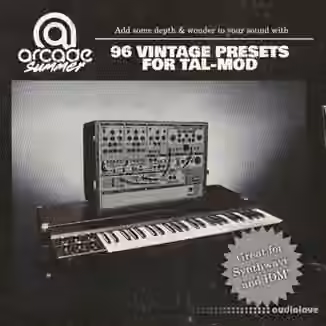 Arcade Summer Vintage Presets [Synth Presets]