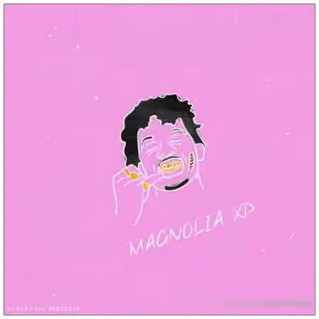 Ave Mcree Magnolia [Synth Presets]