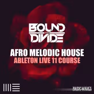 Basic Wavez Ableton Live 11 Course: Afro Melodic House Start To Finish With Bound to Divide [TUTORiAL]