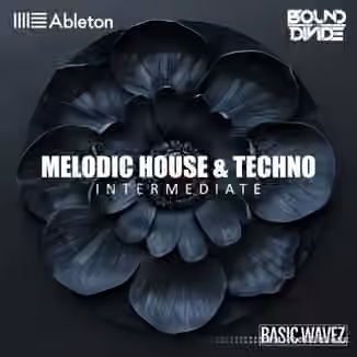 Basic Wavez (Intermediate) Write 2 Melodic House and Techno Tracks with Bound to Divide [TUTORiAL]