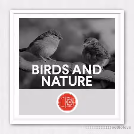 Big Room Sound Birds and Nature [WAV]