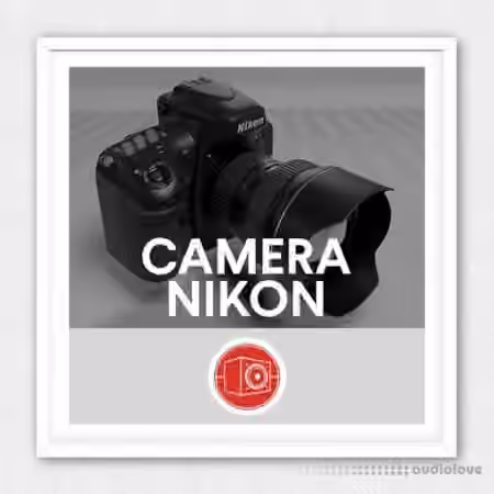 Big Room Sound Camera - Nikon [WAV]