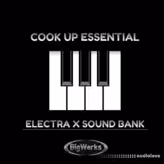 BigWerks Cook Up Essentials [Synth Presets]
