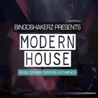 Bingoshakerz Modern House [WAV, Synth Presets]