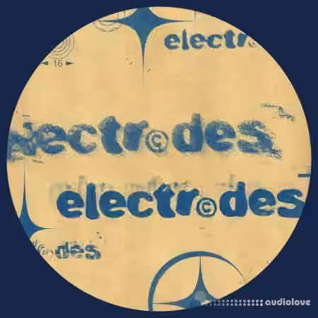 Cryptic Electrodes [WAV]