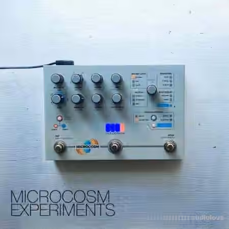 David Hilowitz Microcosm Experiments [Patreon Exclusive] [Decent Sampler] [Synth Presets]