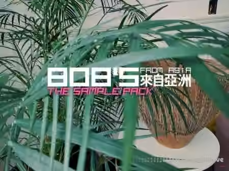 DELAY 808's from Asia The Sample Pack [WAV] - Sample Pack Artwork