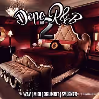 Diamond Loopz Dope RnB Vol.2 [WAV, MiDi, Synth Presets]