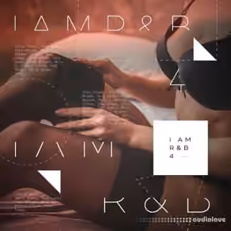 Diginoiz I Am RnB 4 [WAV, Synth Presets]