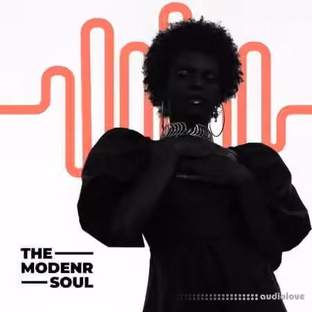 Diginoiz The Modern Soul [WAV]