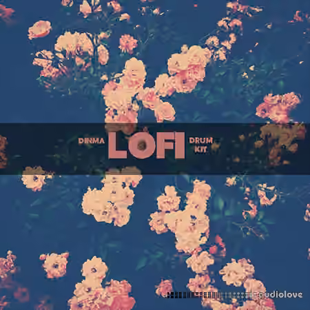 Dinma Beats Lo-Fi Drum Kit [WAV]