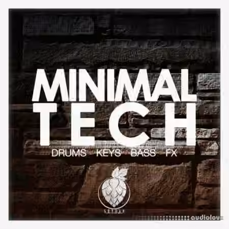 Dirty Music Minimal Tech [WAV]