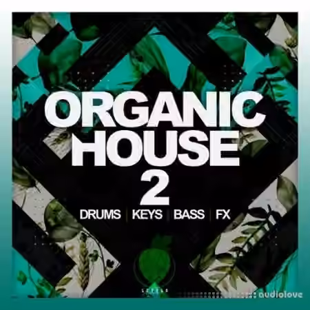 Dirty Music Organic House Vol. 2 [WAV]