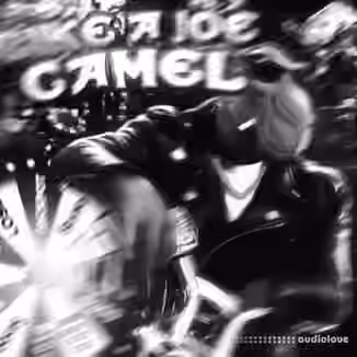 Djcodeinewar Like a Joe Camel Zenology Bank [WAV, Synth Presets]