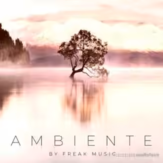Freak Music Ambiente [WAV, MiDi, Synth Presets]