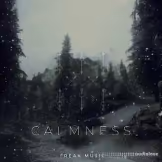 Freak Music Calmness [WAV, MiDi, Synth Presets]