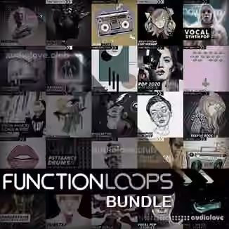 Function Loops BUNDLE 40 in 1 [WAV, MiDi, Synth Presets]