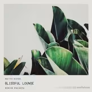GOGOi Blissful Lounge [Synth Presets]