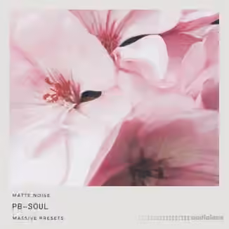 GOGOi Pb-Soul [Synth Presets]