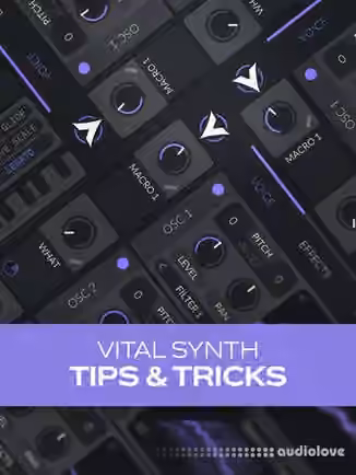 Groove3 Vital Synth Tips and Tricks [TUTORiAL]