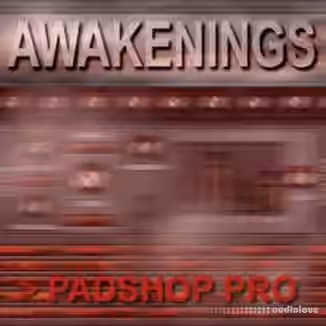 HGSounds Awakenings PS for Padshop Pro [WAV, Synth Presets]