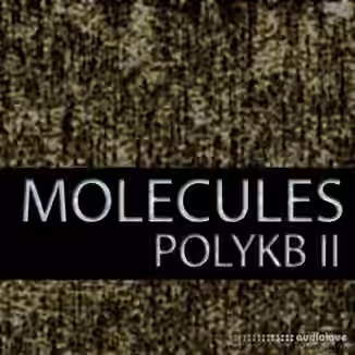 Homegrown Sounds Molecules [Synth Presets]
