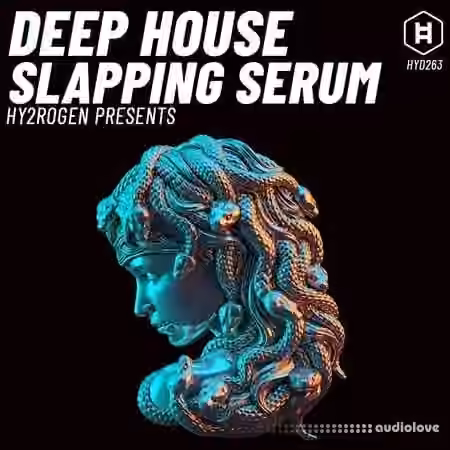 Hy2rogen Deep House Slapping Serum [Synth Presets]