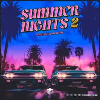 IInfinite and LifeStyleDidIt Summer Nights 2 (Analog Lab V Bank) [Synth Presets]