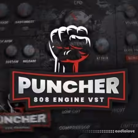 Industry Kits Puncher 808 Engine VST v1.0 [WiN, MacOSX]