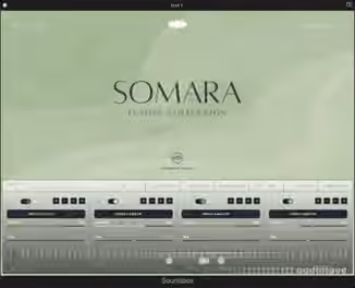 Kompose Audio Somara [Synth Presets]