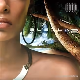 Kryptic Samples Bustla 2 [WAV, MiDi]