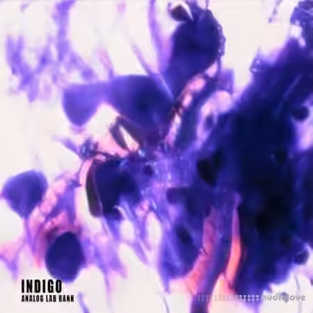 Loushi Indigo Analog Lab bank [Synth Presets]