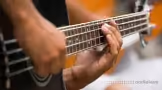 Lynda John Patitucci Electric Bass Complete [TUTORiAL]