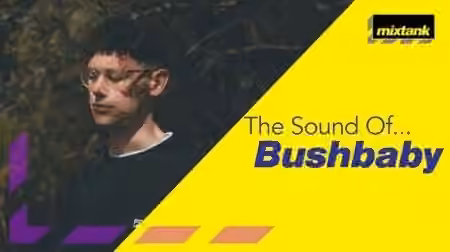 Mixtank.tv The Sound Of Bushbaby [TUTORiAL]