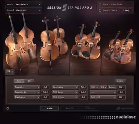 Native Instruments Session Strings Pro 2 v1.0.5 [KONTAKT]