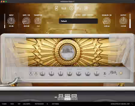 Neural DSP Archetype Rabea X v1.0.1 [WiN]