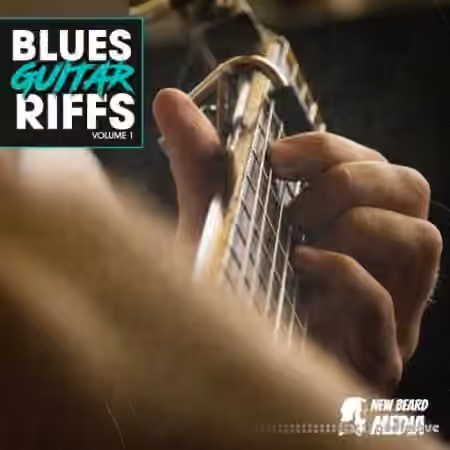 New Beard Media Blues Guitar Riffs Vol 1 [WAV]