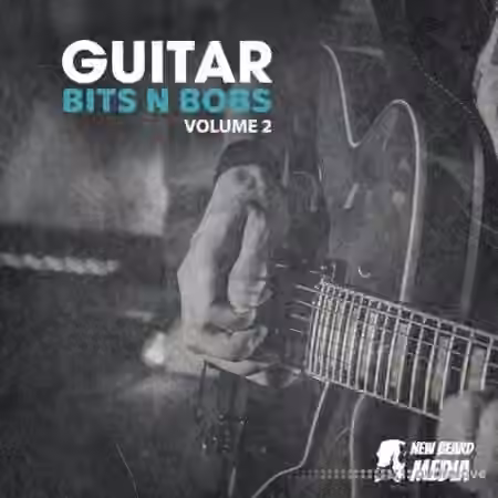New Beard Media Guitar Bits N Bobs 2 [WAV]