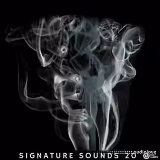 Olly James Signature Sounds Vol.20 WTW Bass House [WAV, MiDi, Synth Presets, DAW Templates]