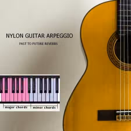 PastToFutureReverbs Nylon Guitar Arpeggio For Kontakt! [KONTAKT]