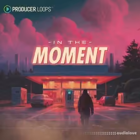 Producer Loops In The Moment [MULTiFORMAT]