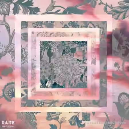 RARE Percussion 2SCOOPS x Neighborhood Watch Silence In Nature [WAV]