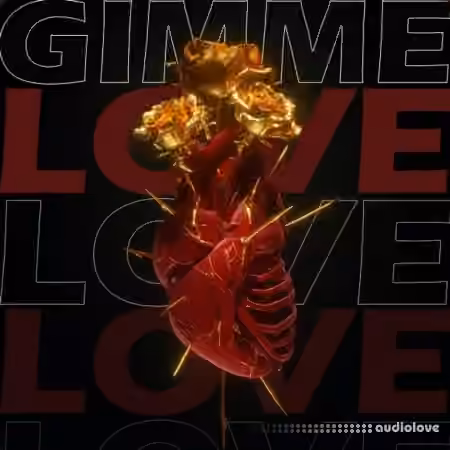 Real One 500+] RnB Drum Kit Gimme Love [WAV, Synth Presets]