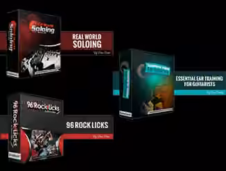 Real World Soloing, 96 Rock Licks, Ear Training with Steve Stein and Dan Denley (2016) [TUTORiAL]