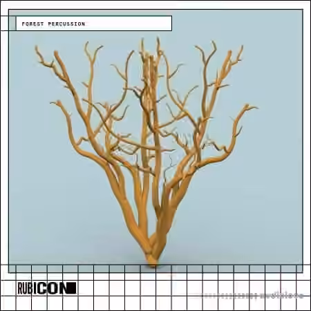 Rubicon Forest Percussion [WAV]
